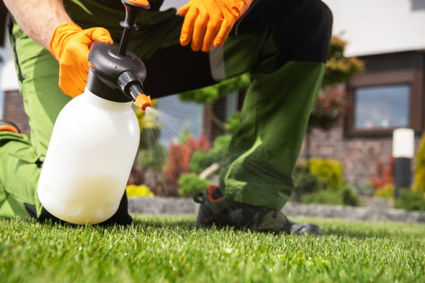 Best Pest Prevention Services  in Medpolis, IA