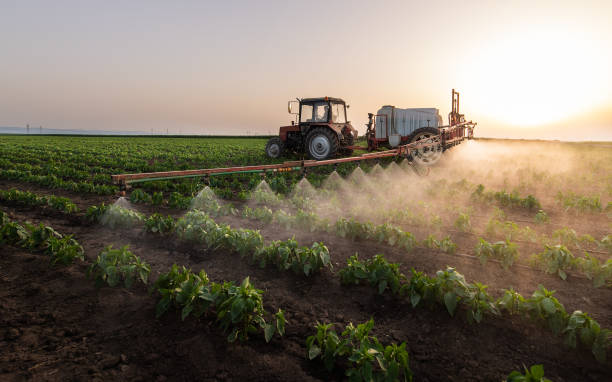Best Pest Control Near Me in Mediapolis, IA