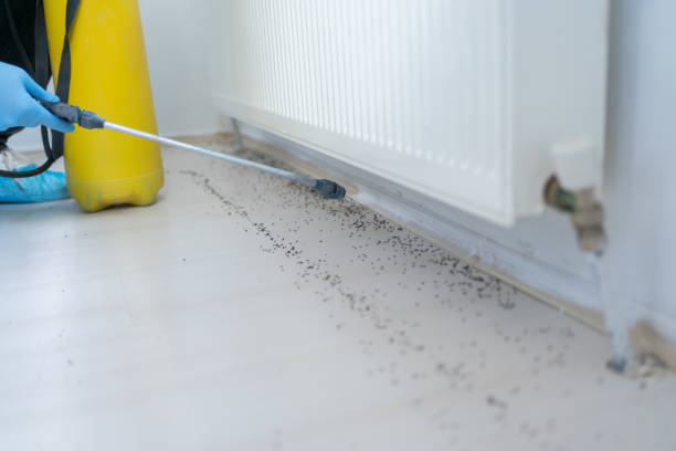 Best Pest Control Near Me  in Medpolis, IA