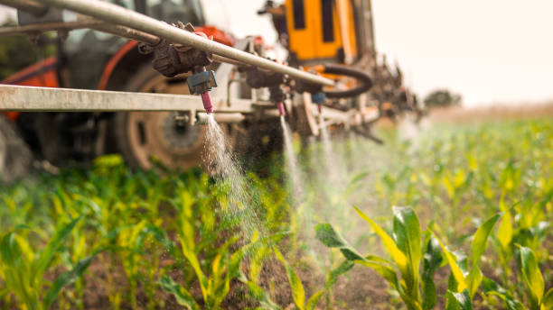 Best Insect Control  in Medpolis, IA
